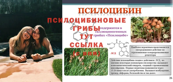 скорость Инта