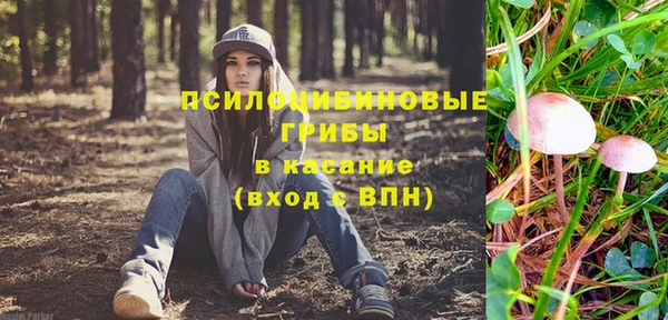 МДМА Инсар