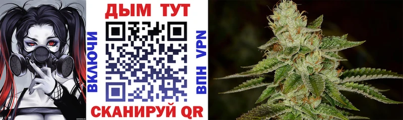 Купить где  Бородино  Шишки марихуана индика 